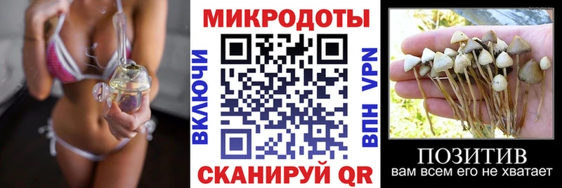 где найти   Сертолово  Псилоцибиновые грибы GOLDEN TEACHER 